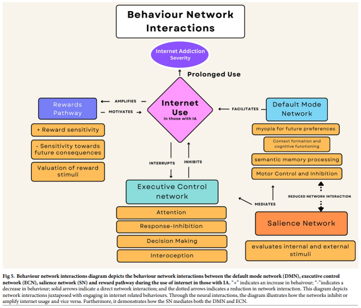 Fig 5. Behaviour network interactions diagram depicts the behaviour network interactions between the default mode network, executive control network, salience network and reward pathway during the use of internet in those with Internet Addiction.